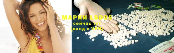 гидропоника Алзамай