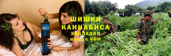 гидропоника Алзамай