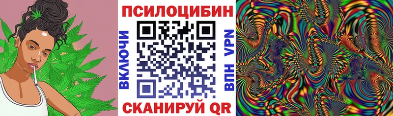 Галлюциногенные грибы Psilocybine cubensis  Гаврилов Посад 
