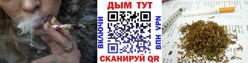 Бошки марихуана SATIVA & INDICA  Гаврилов Посад 
